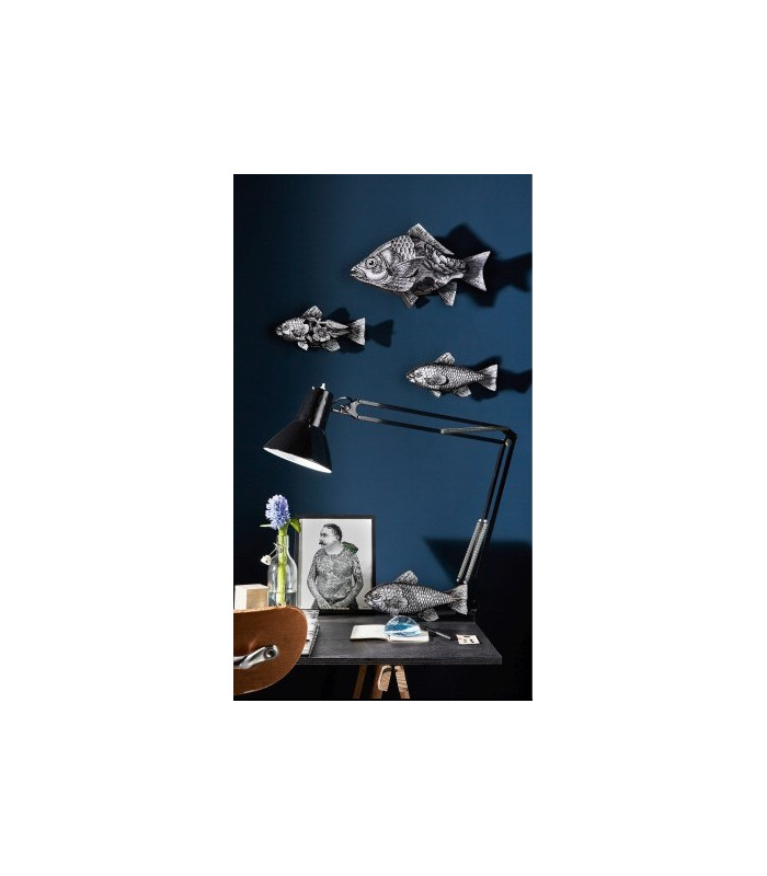 Pesce THE ENTREPRENEUR -  MIHO