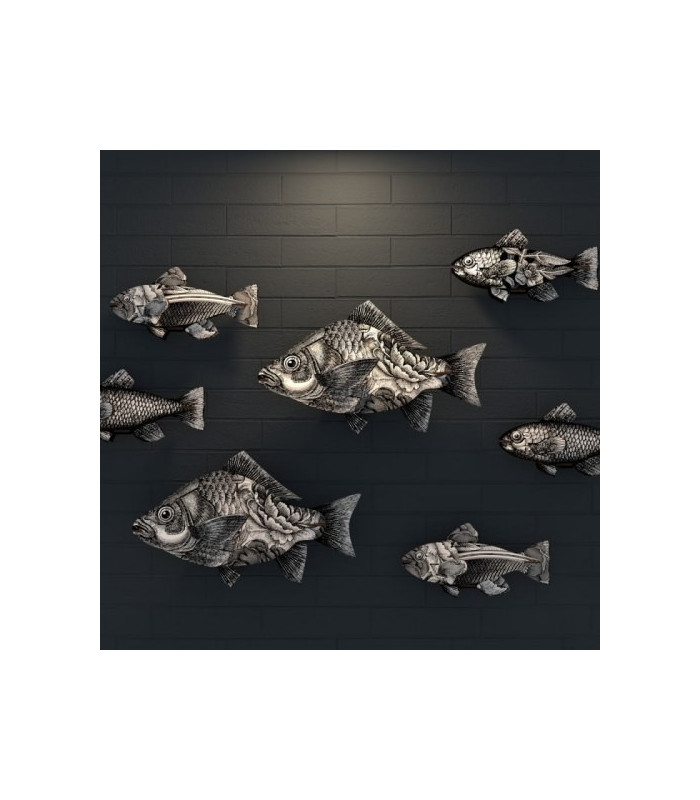 Pesce THE ENTREPRENEUR -  MIHO