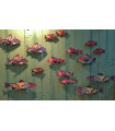 Pesce Mini ABRACADABRA  -  MIHO