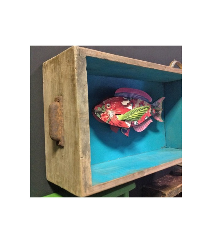Pesce Mini ABRACADABRA  -  MIHO