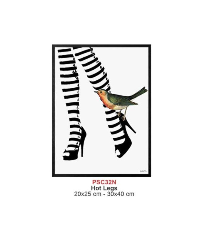 HOT LEGS Quadretto 20x25 -  Vanilla Fly