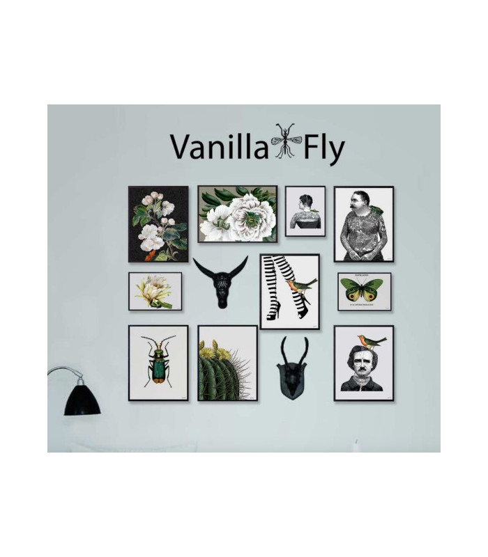 LADY WITH BUG Quadretto 20x25 -  Vanilla Fly