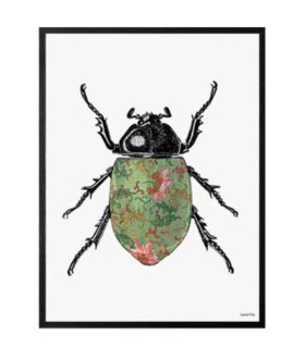 COLORED BEETLE Quadretto 30X40 - Vanilla Fly