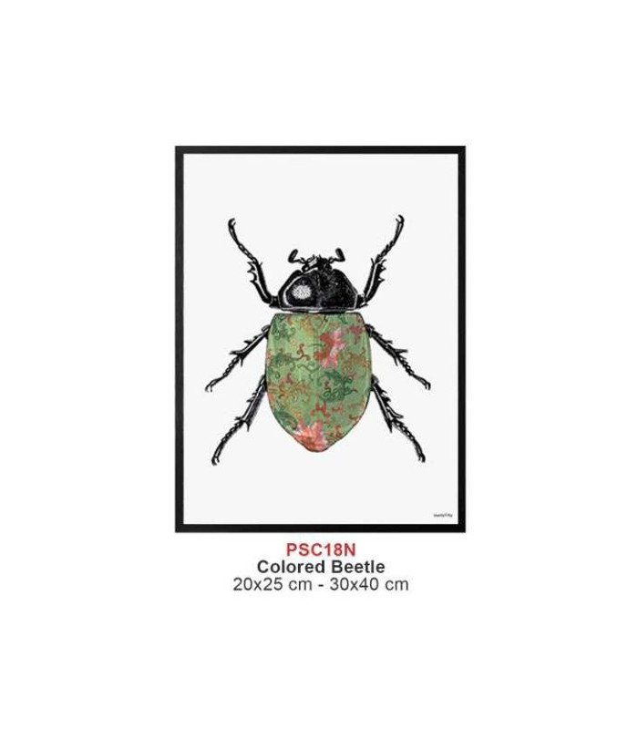 COLORED BEETLE  Quadretto 30X40 -  Vanilla Fly