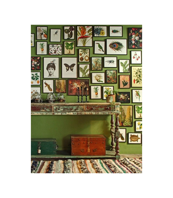 COLORED BEETLE  Quadretto 30X40 -  Vanilla Fly