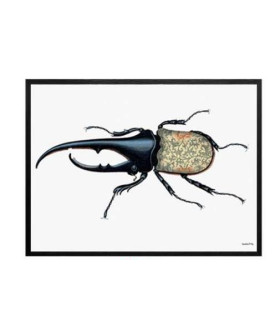 WILD BUG Quadretto 30X40 - Vanilla Fly