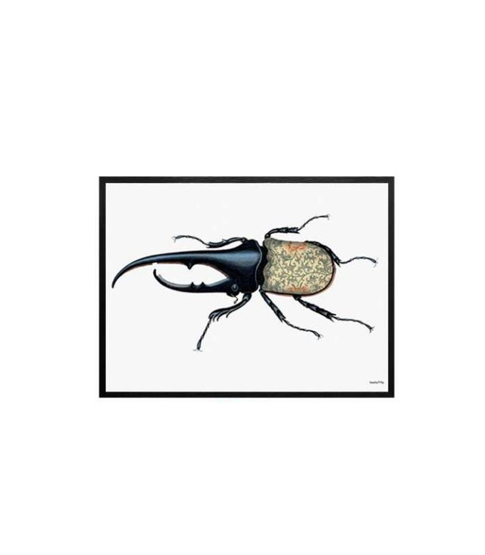 WILD BUG  Quadretto 30X40 -  Vanilla Fly