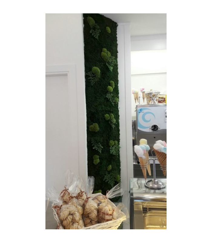 Parete vegetale Mediterraneo
