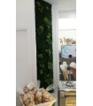 Parete vegetale Mediterraneo