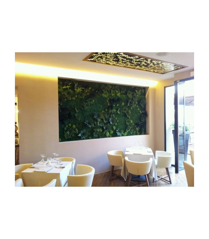 Parete vegetale Mediterraneo