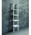 Little Kross Libreria Tomasucci