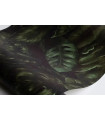 Amazon, Fern -  Carta da parati Rebel Walls