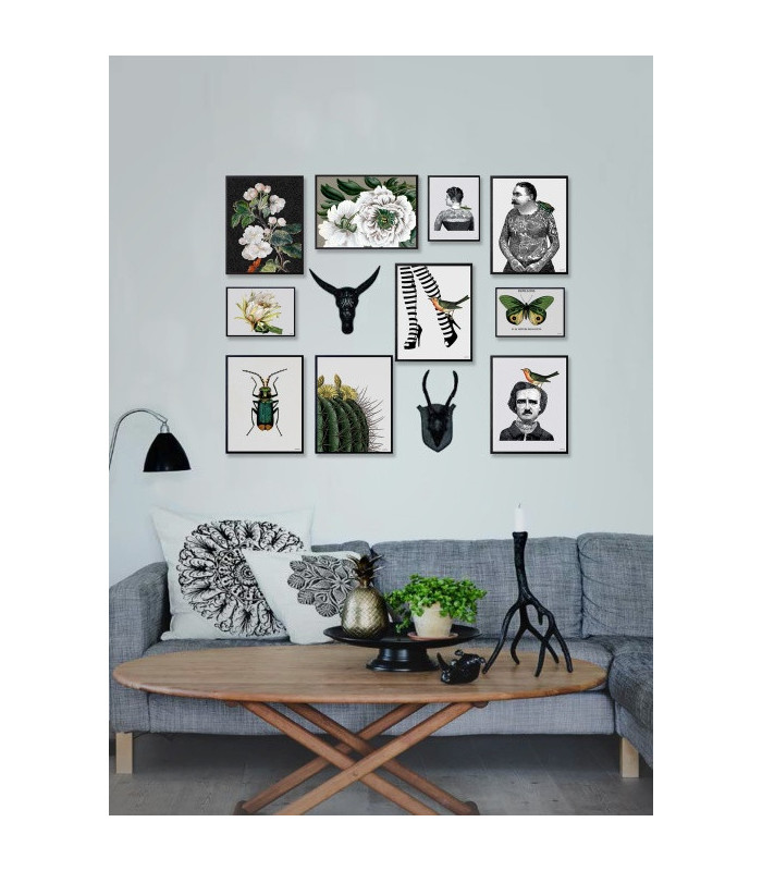 Poster Cornice Nera 20x25 - Hat With Bird  Vanilla Fly