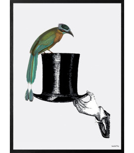 Poster Cornice Nera 20x25 - Hat With Bird Vanilla Fly