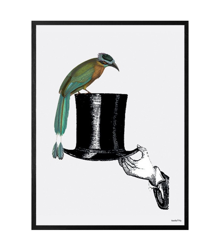 Poster Cornice Nera 20x25 - Hat With Bird  Vanilla Fly