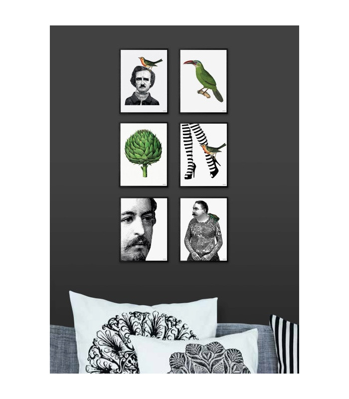 Poster Cornice Nera 20x25 - Hat With Bird  Vanilla Fly