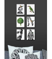 Poster Cornice Nera 20x25 - Hat With Bird  Vanilla Fly