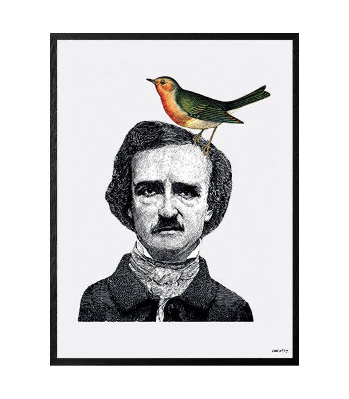Poster Cornice Nera 20x25 - Hat With Bird  Vanilla Fly