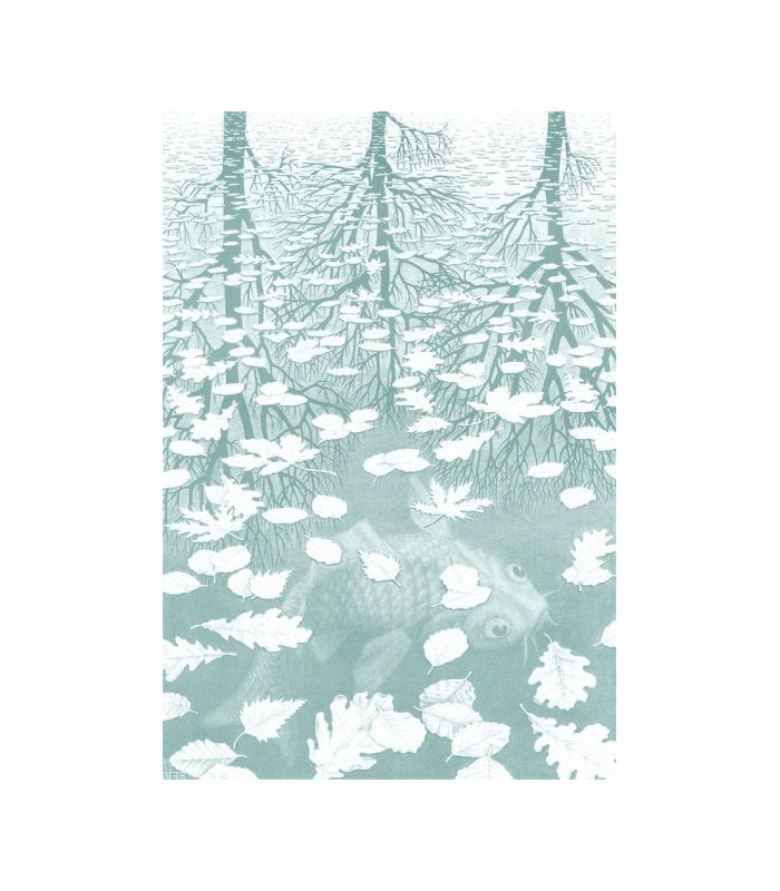 Carta da parati Three Worlds M.C.Escher  J&V