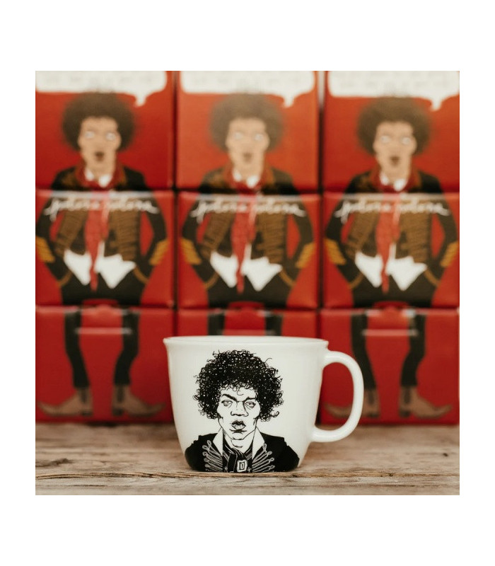 JIMI, the guitar hero