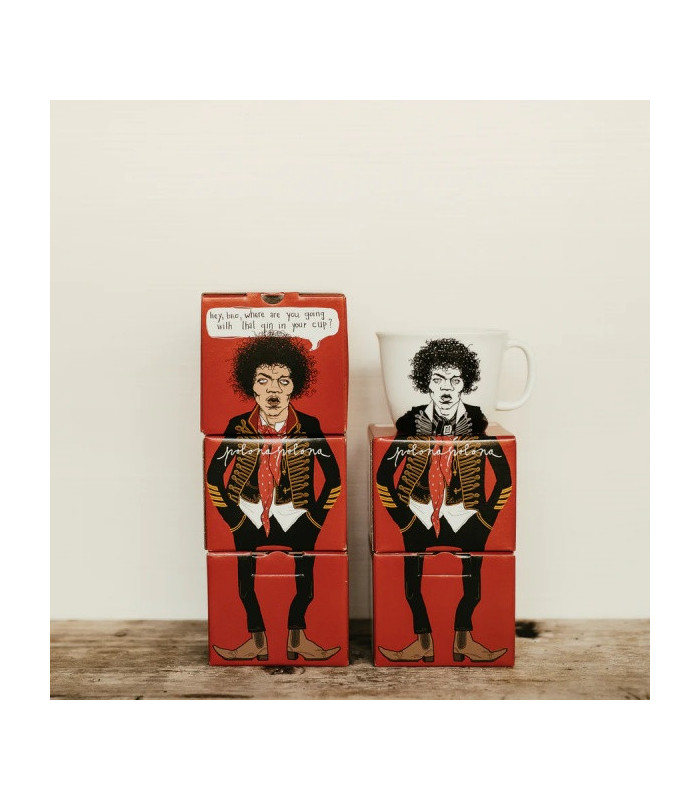 JIMI, the guitar hero