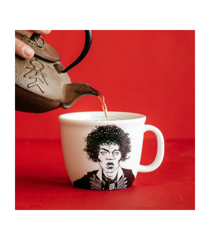 JIMI, the guitar hero