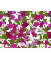 D'Amour, Enriquezland Collection -  Jannelli & Volpi