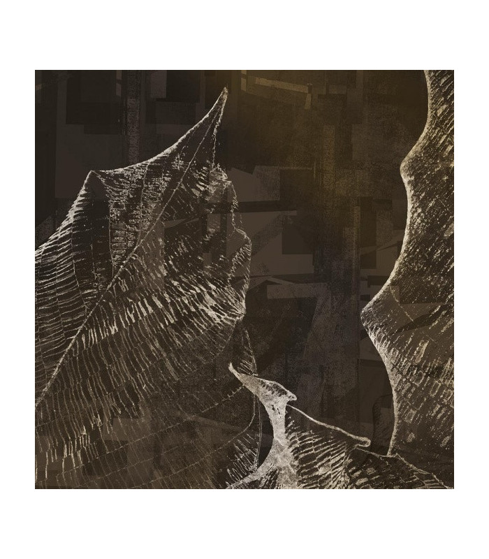 Carta da parati Hologram  - Rimura, Italian Design