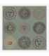 Soli, Fornasetti Collection -  Cole & Son