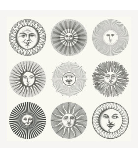 Soli, Fornasetti Collection -  Cole & Son