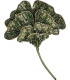 Ginkgo Leaf Spilla Trovelore