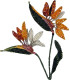 Bird of Paradise Flower, Spilla Trovelore